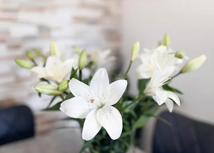 Lägenhet Montesa With Free Parking And Balcony